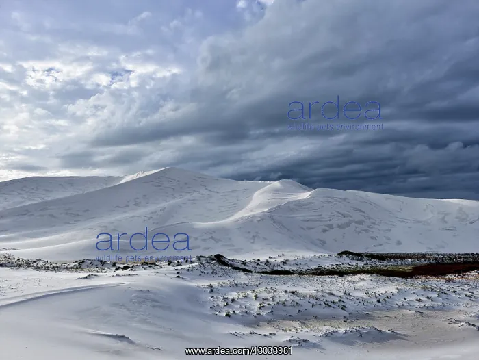  : Bilbunya Dunes.Situated between Israelite Bay and