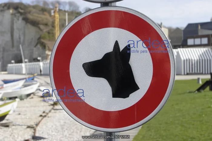 : Billboard ban dog on the beach : Billboard ban dog on the beach