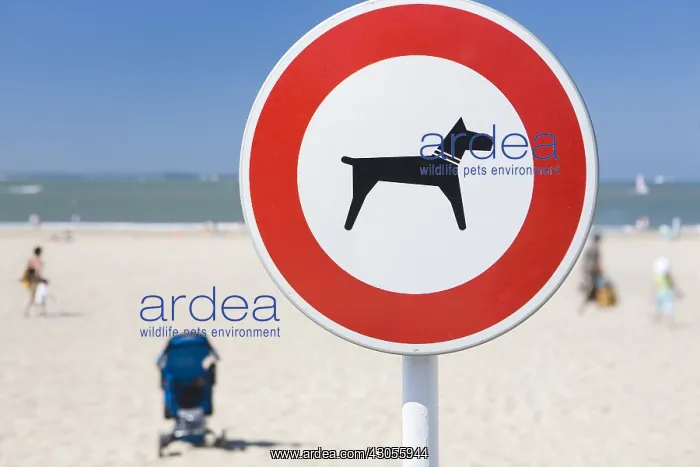 : Billboard ban dogs on a beach in France : Billboard ban dogs on a beach in France