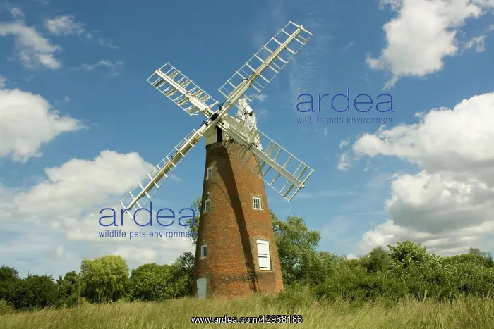 : Billingford windmill : Billingford windmill