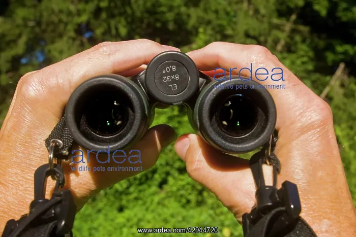 : Binoculars from the ocular side : Binoculars from the ocular side