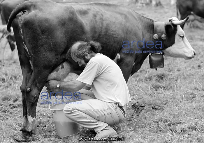 : BIO. Ardea Picture Library Contributors: BIO : BIO. Ardea Picture Library Contributors: BIO