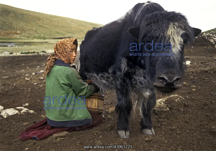 : BIO. Ardea Picture Library Contributors: BIO : BIO. Ardea Picture Library Contributors: BIO