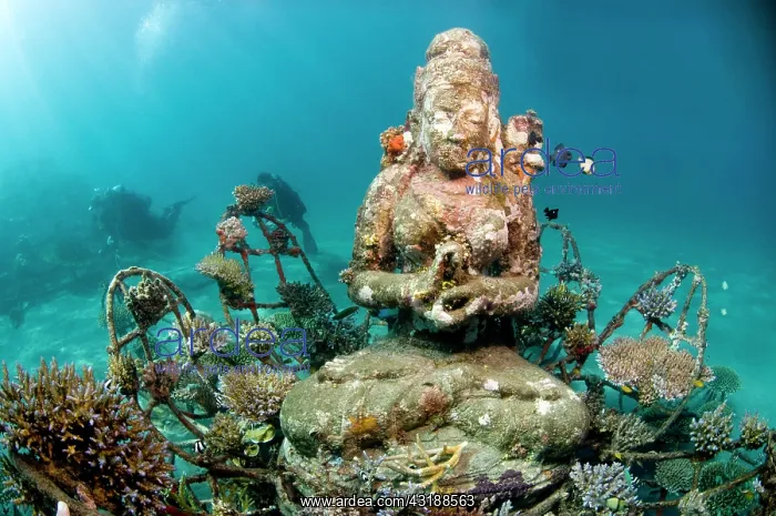 : Bio-rock project, Indonesia, Bali : Bio-rock project, Indonesia, Bali