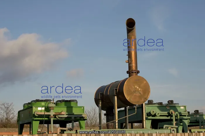 : Biogas generation at Wingmoor Farm, Glos : Biogas generation at Wingmoor Farm, Glos