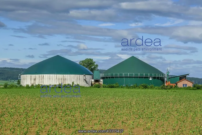 : Biogas plant near Springe, Lower Saxony, Germany, Europe : Biogas plant near Springe, Lower Saxony, Germany, Europe
