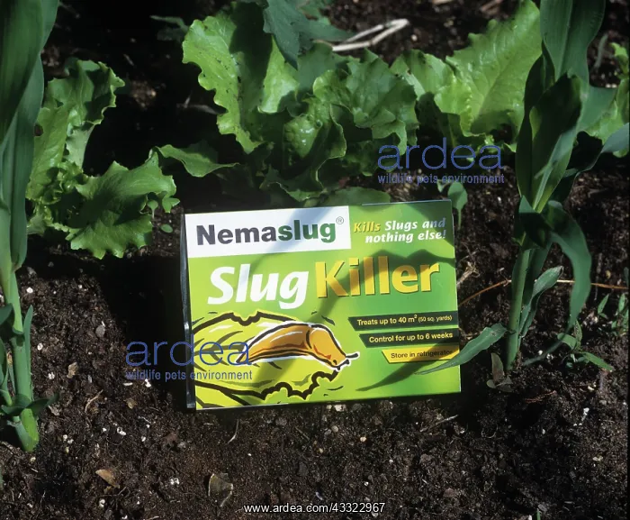 : Biological control of slugs : Biological control of slugs