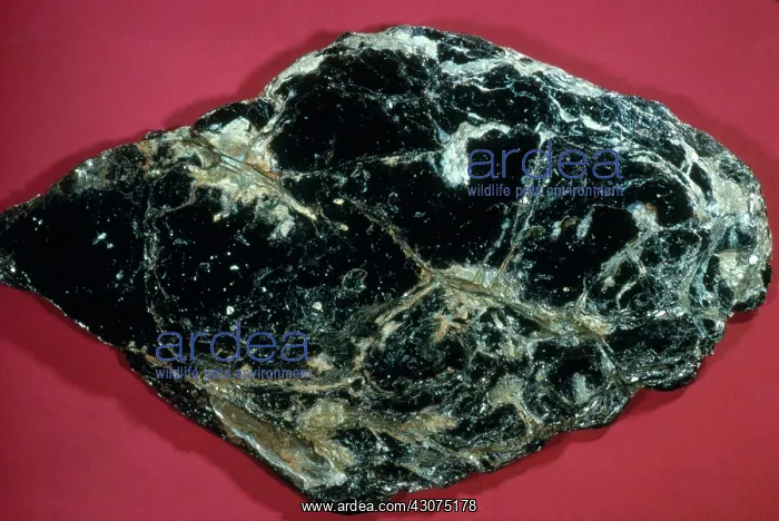 : Biotite Mica : Biotite Mica