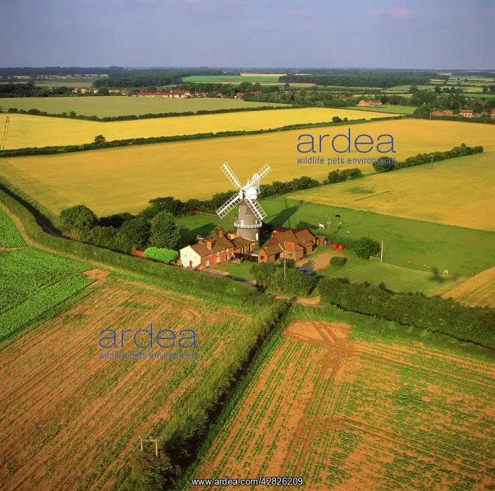 : Bircham Windmill, Great Bircham, King's Lynn, Norfolk : Bircham Windmill, Great Bircham, King's Lynn, Norfolk