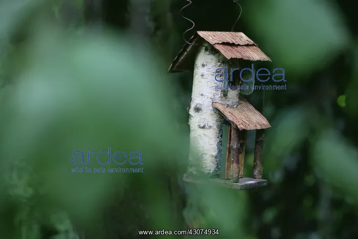 : Bird box : Bird box