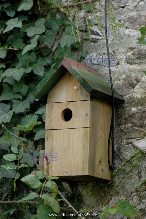 : Bird Box. Conventional bird nestbox with built-in camera for remote viewing : Bird Box. Conventional bird nestbox with built-in camera for remote viewing