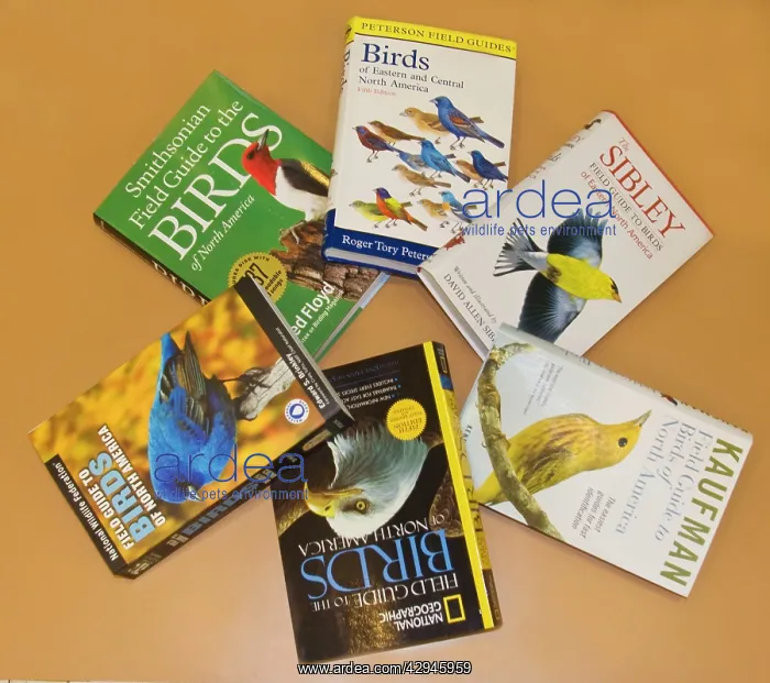  : Bird Field Guides