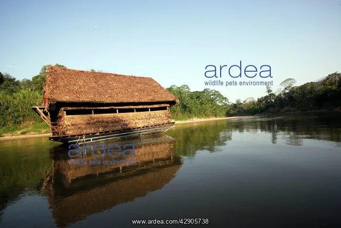 : Bird Hide - to watch Parrots & Macaws at clay lick : Bird Hide - to watch Parrots & Macaws at clay lick