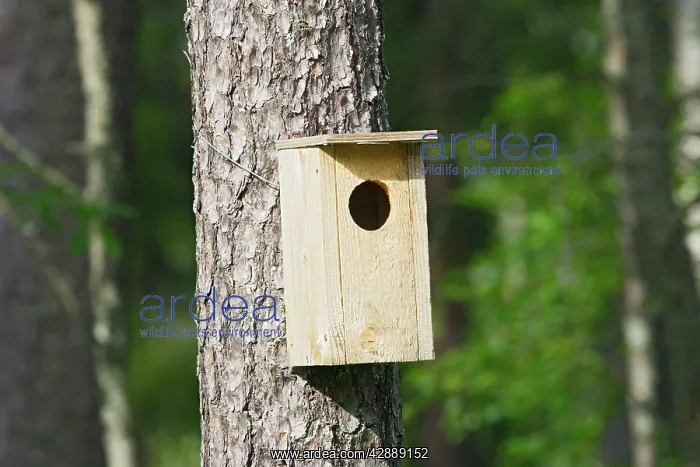  : Bird Nesting Box