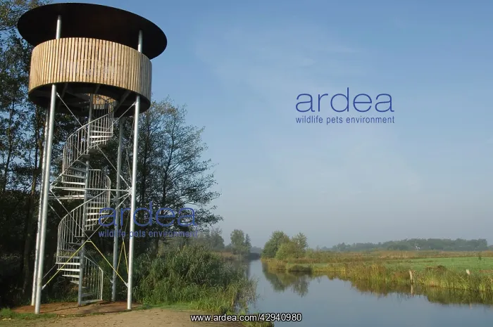 : Bird observation tower : Bird observation tower