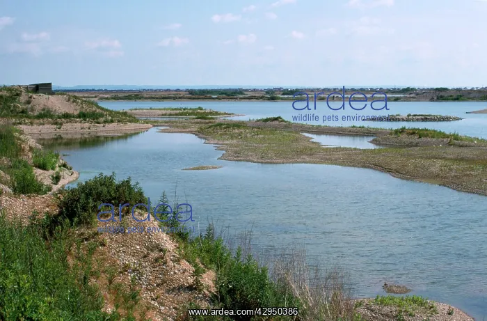  : Bird Reserve - Dungeness Nature Reserve (RSPB)