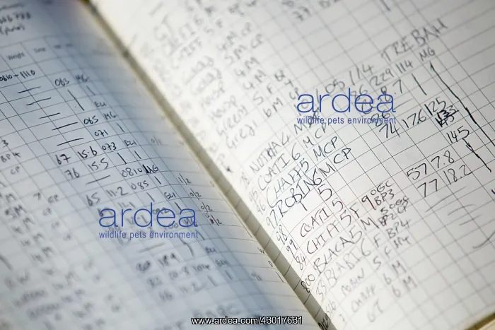 : Bird Ringing record keeping notebook : Bird Ringing record keeping notebook