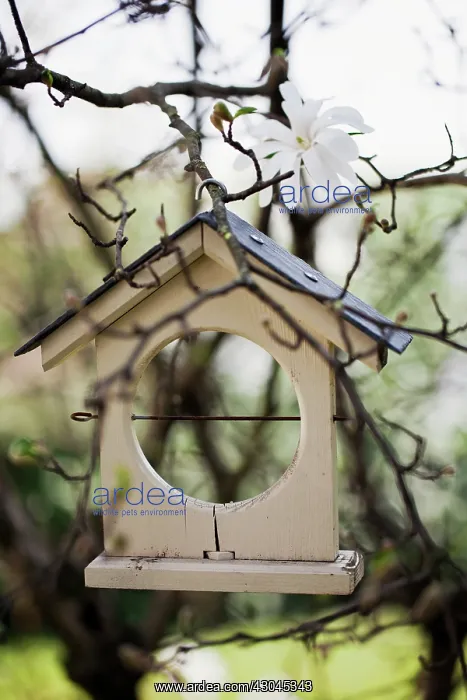  : Bird table