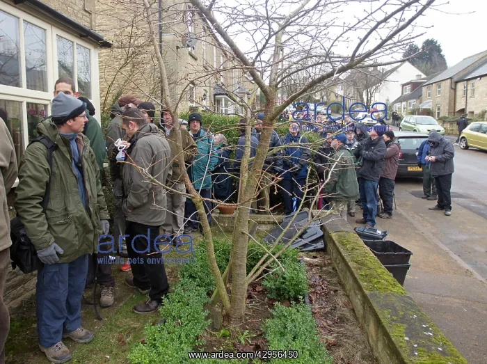 : Bird Watchers and Twitchers - queueing in a residential : Bird Watchers and Twitchers - queueing in a residential