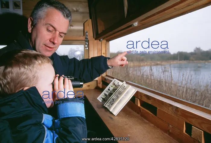 : BIRD WATCHING - adult & boy watching from hide : BIRD WATCHING - adult & boy watching from hide