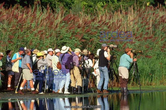 : BIRD WATCHING - group by water : BIRD WATCHING - group by water