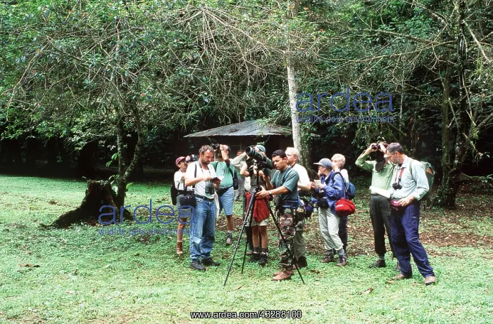 : BIRD WATCHING - Guided tour by staff guide of La : BIRD WATCHING - Guided tour by staff guide of La