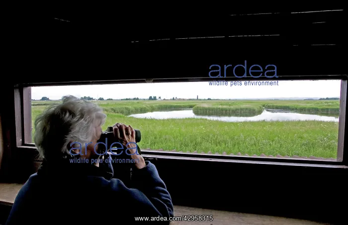  : Bird watching from hide