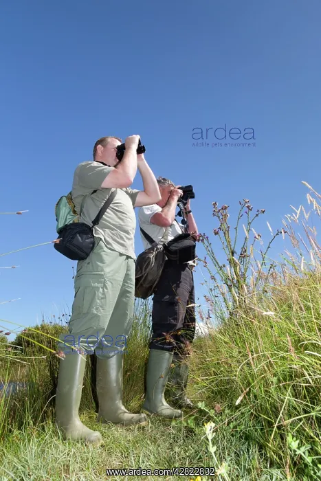 : Bird Watching - Paul Prowse & Trevor Hosking : Bird Watching - Paul Prowse & Trevor Hosking