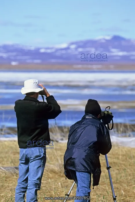 : Birders. Nome Alaska : Birders. Nome Alaska