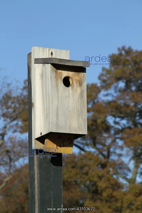 : Birdhouse in a public park : Birdhouse in a public park
