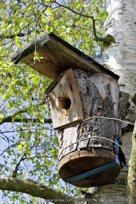 : Birdhouse in garden : Birdhouse in garden