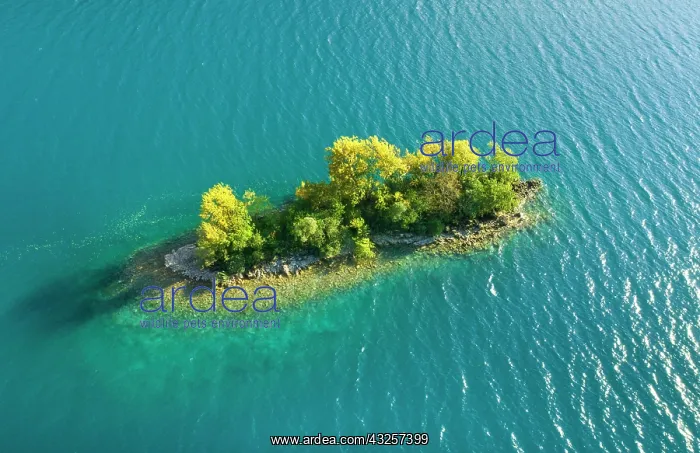  : Bird's eye view of the chive island in the turquoise