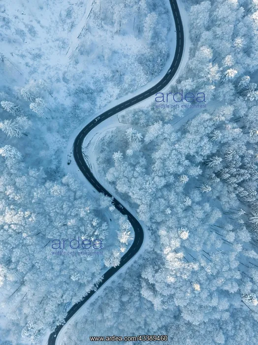 : Bird's eye view of a country road leading through : Bird's eye view of a country road leading through