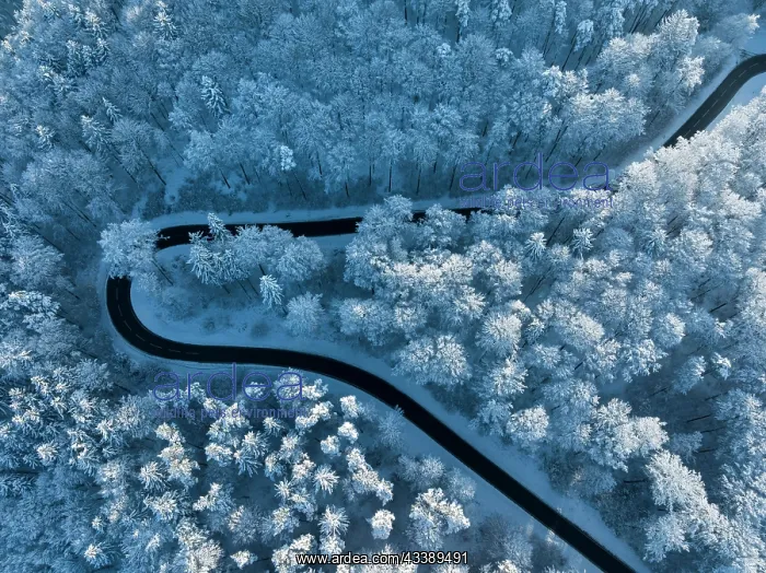 : Bird's eye view of a country road leading through : Bird's eye view of a country road leading through