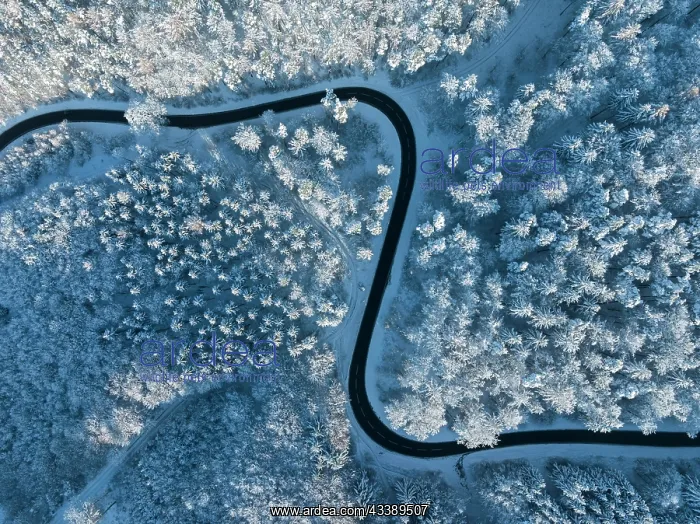 : Bird's eye view of a country road leading through : Bird's eye view of a country road leading through