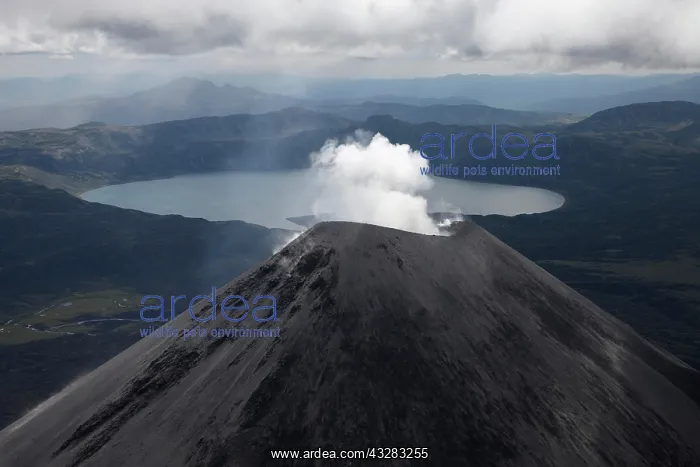 : Bird's eye view of smoking Karymsky volcano, behind : Bird's eye view of smoking Karymsky volcano, behind