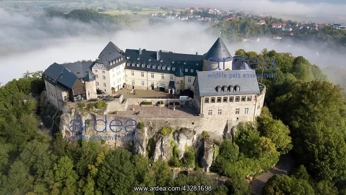 : Birds eye view, Waldeck Castle on castle hill surrounded : Birds eye view, Waldeck Castle on castle hill surrounded