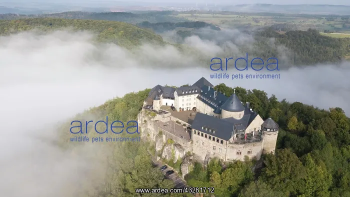 : Birds eye view, Waldeck Castle surrounded by clouds : Birds eye view, Waldeck Castle surrounded by clouds