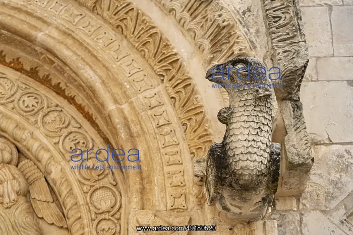 : Bird's head above the portal of the church of Santa Maria Maggiore in Monte Sant'Angelo : Bird's head above the portal of the church of Santa Maria Maggiore in Monte Sant'Angelo