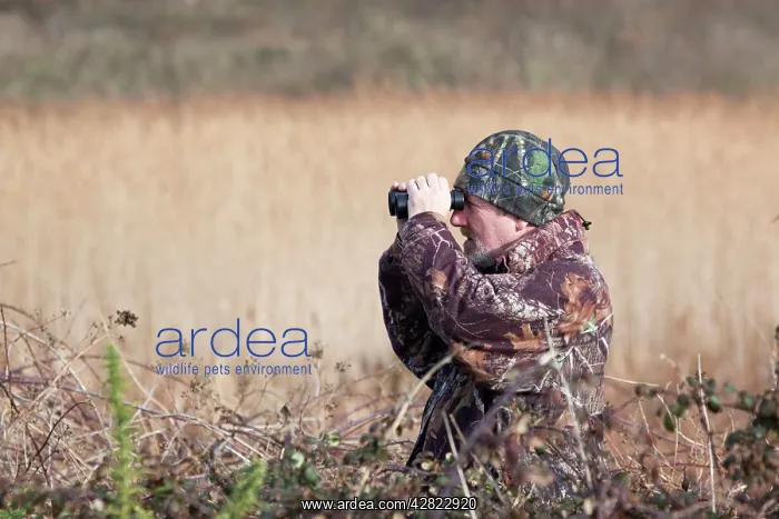 : Birdwatcher - Adrian Langdon - field craft : Birdwatcher - Adrian Langdon - field craft
