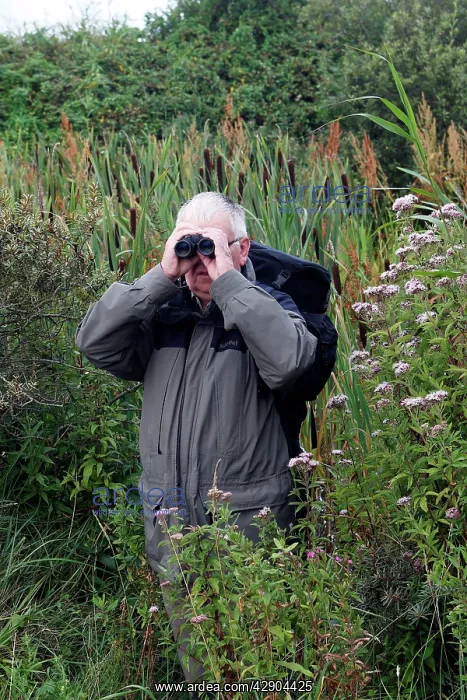 : Birdwatcher - with binoculars in 'Parc ornithologique : Birdwatcher - with binoculars in 'Parc ornithologique