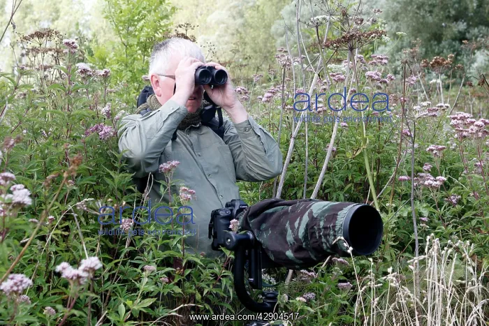 : Birdwatcher - with camera & binoculars in 'Parc : Birdwatcher - with camera & binoculars in 'Parc