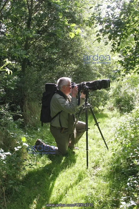 : Birdwatcher - with camera in 'Parc ornithologique : Birdwatcher - with camera in 'Parc ornithologique