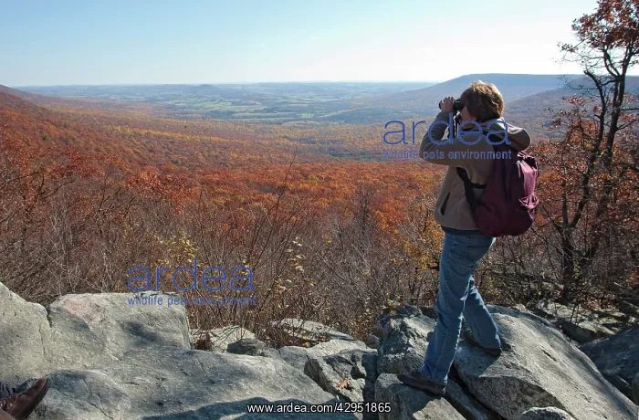 : Birdwatcher - Hawk watching at Hawk Mountain Sanctuarys : Birdwatcher - Hawk watching at Hawk Mountain Sanctuarys