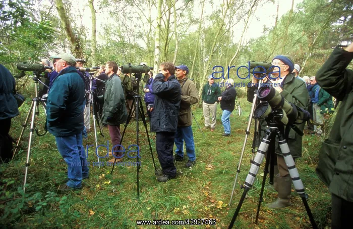 : BIRDWATCHERS : BIRDWATCHERS