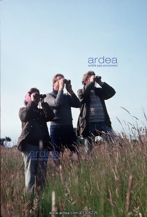 : BIRDWATCHERS : BIRDWATCHERS