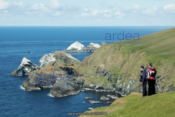  : Birdwatchers - at cliff edge