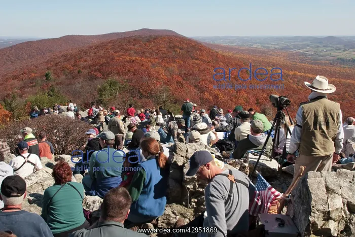 : Birdwatchers - Hawk watching at Hawk Mountain Sanctuarys : Birdwatchers - Hawk watching at Hawk Mountain Sanctuarys