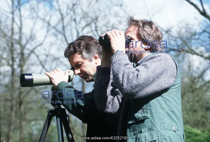 : BIRDWATCHERS - looking through binoculars : BIRDWATCHERS - looking through binoculars