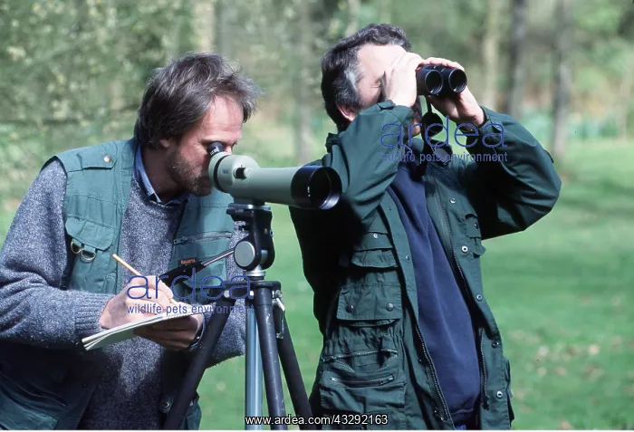 : Birdwatchers - looking through telescope : Birdwatchers - looking through telescope